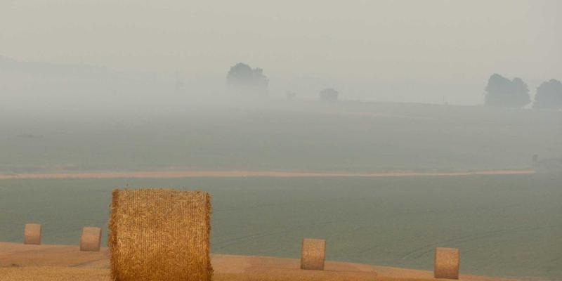 机器翻译