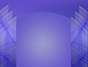 SEO优化案例研究站：详细分析的搜索价值